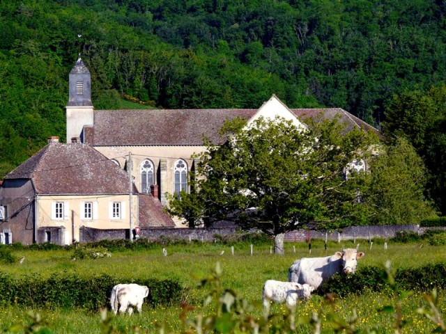 Schilderweek in de Morvan