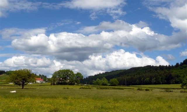Painting a week  in the Morvan France 13