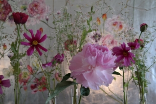 Claire Basler France 6